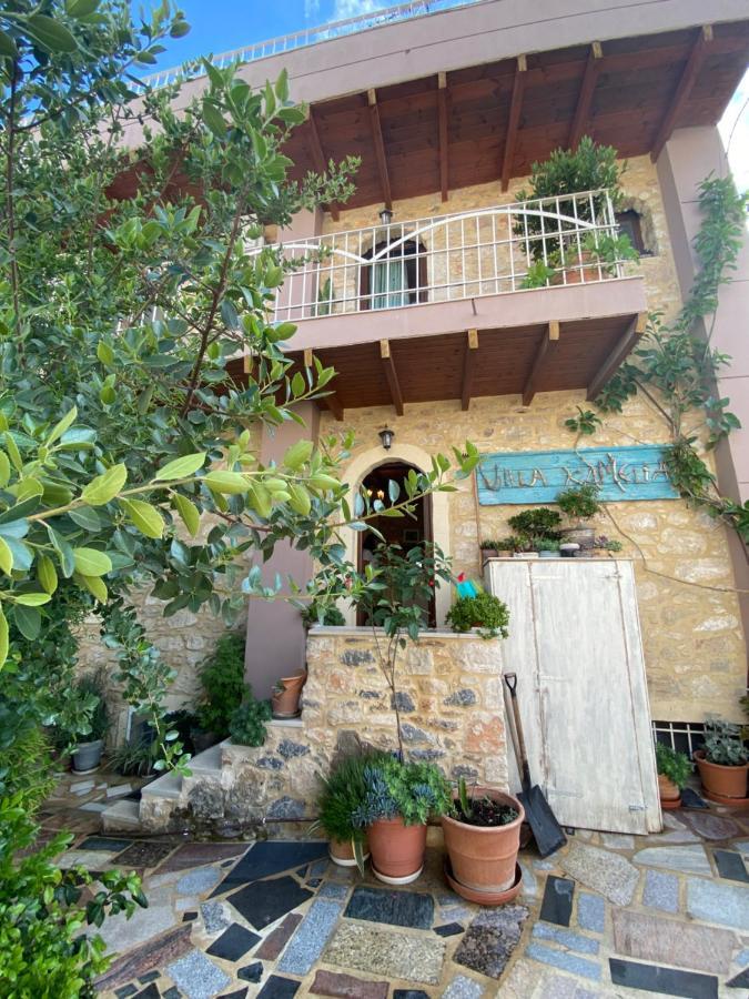 Villa Kamelia-Renovated Old House-South Crete Galia Ngoại thất bức ảnh